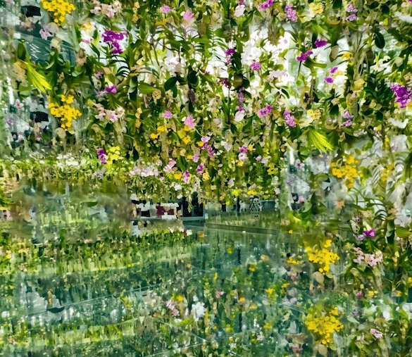 floating flower garden