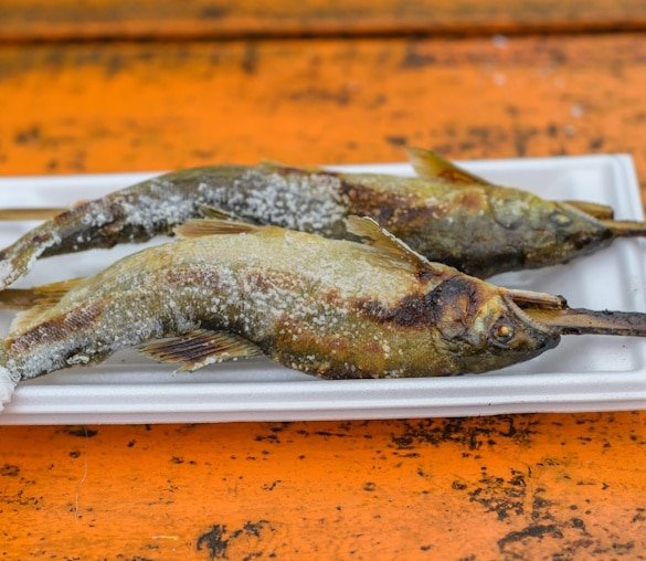 Grilled trout fish on wooden table at Kegon Waterfall