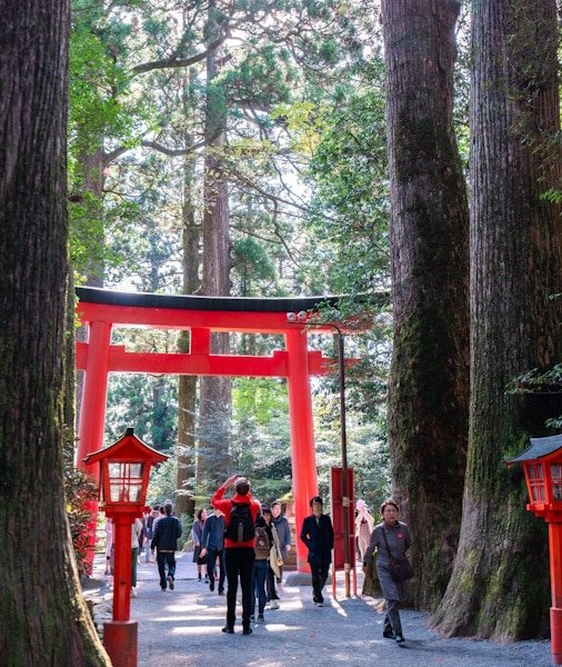 Hakone Day Trip from Tokyo 2026