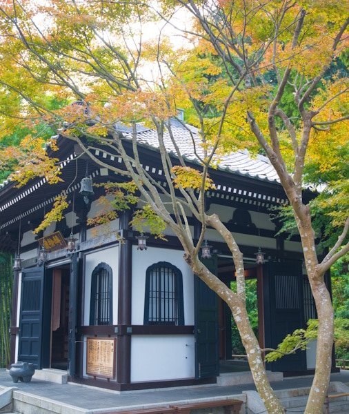 Kamakura Day Trip from Tokyo 2026