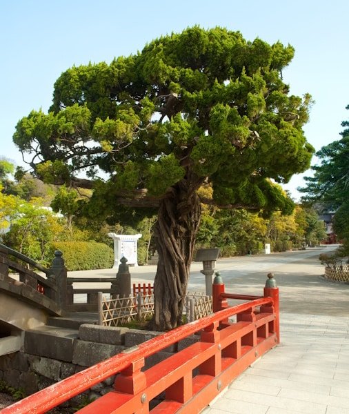 Kamakura Day Trip from Tokyo 2026
