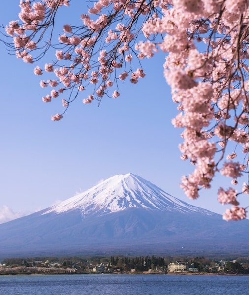 Mt Fuji Day Trip from Tokyo 2026