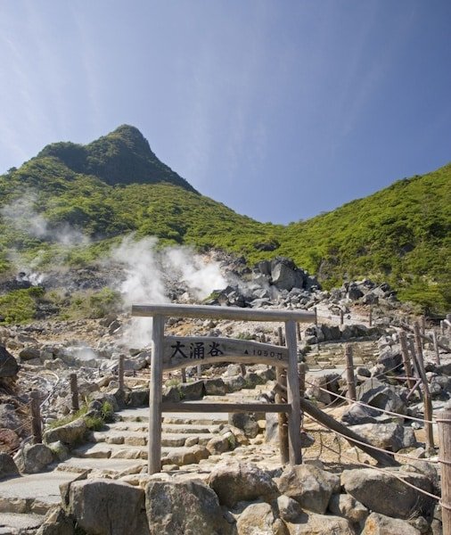 Mt Fuji Day Trip from Tokyo 2026