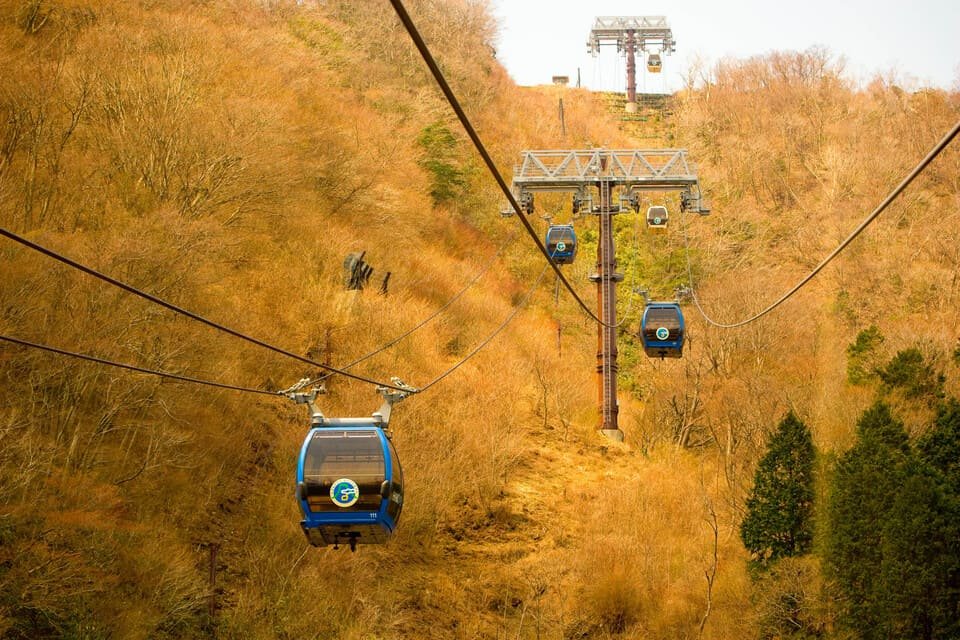 Mt Fuji Day Trip from Tokyo 2026