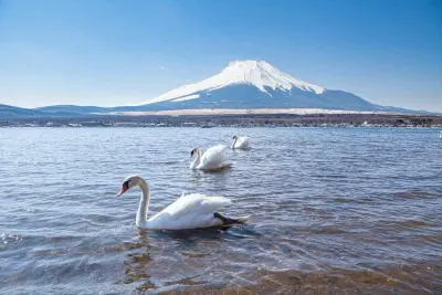 Mt Fuji Day Trip from Tokyo