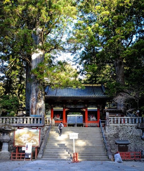 Nikko Day Trip from Tokyo 2026
