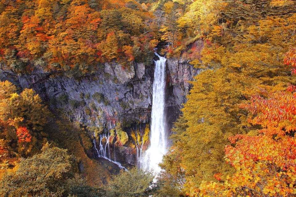 Nikko Day Trip from Tokyo 2026