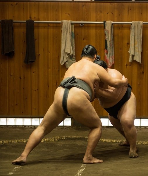 Sumo Tickets Tokyo 2026