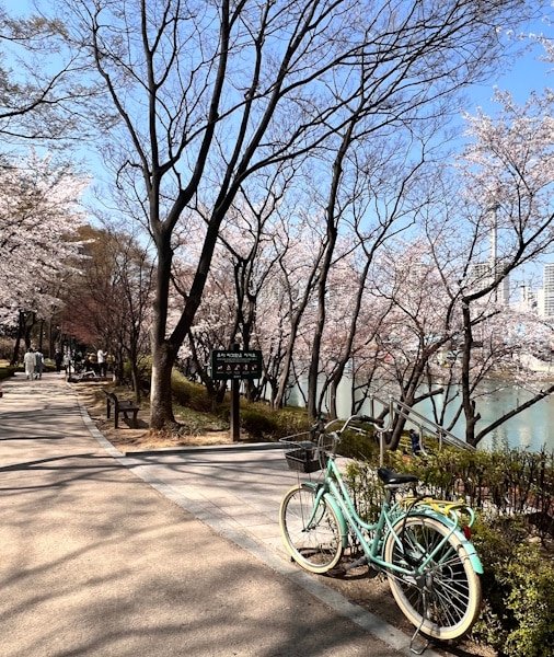 Tokyo Bike Tour 2026