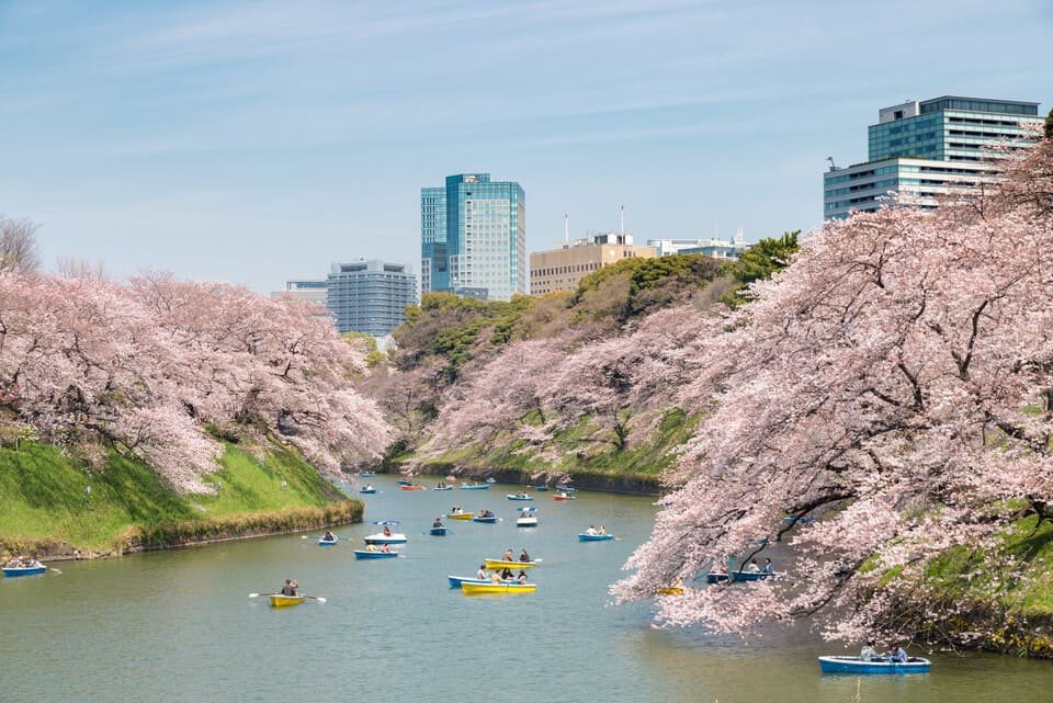 Tokyo Bike Tour 2026