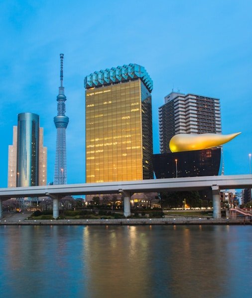 Tokyo Boat Tour 2026