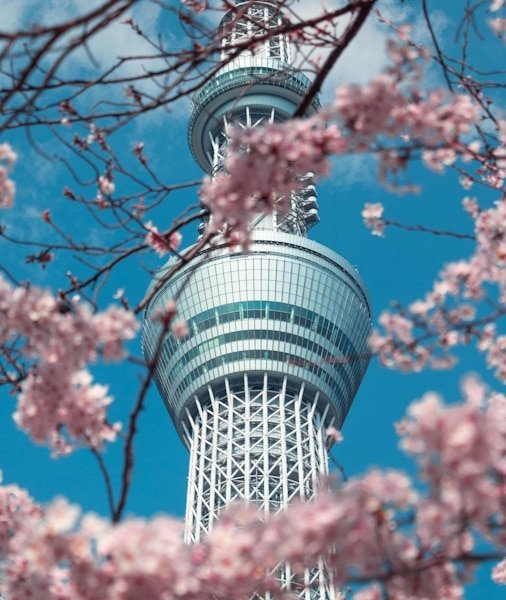 Tokyo City Pass 2026