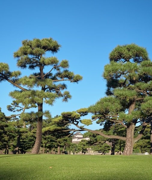 Tokyo City Tour 2026