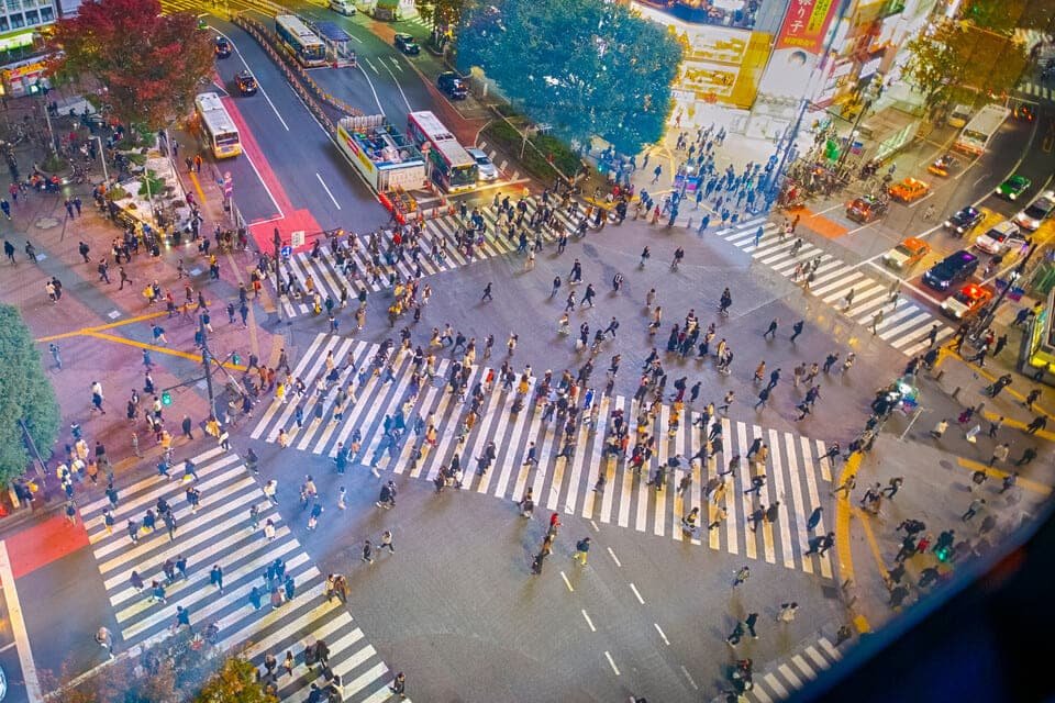 Tokyo City Tour 2026